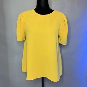 Puff Sleeve Solid Blouse